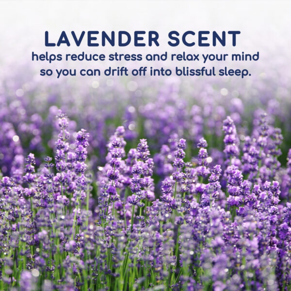 Head2Sleep Lavender Pillow - Image 6