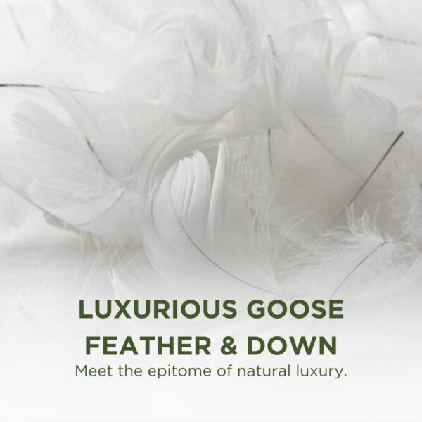 Nature's Hug Goose Feather and Down Pillow - Image 2