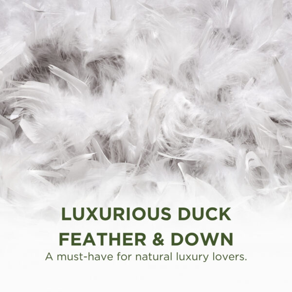 Nature's Hug Duck Feather and Down Pillow - Image 2