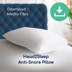 Head2Sleep Anti-Snore Pillow Images