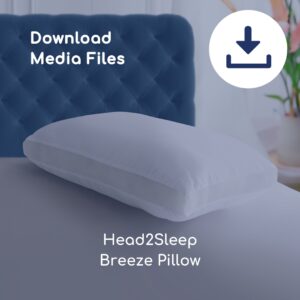 Head2Sleep Breeze Pillow Images