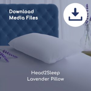 Head2Sleep Lavender Pillow Images