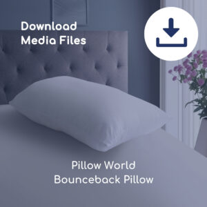 Pillow World Bounceback Pillow Images