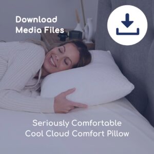 Seriously Comfortable Cool Cloud Comfort Pillow Images